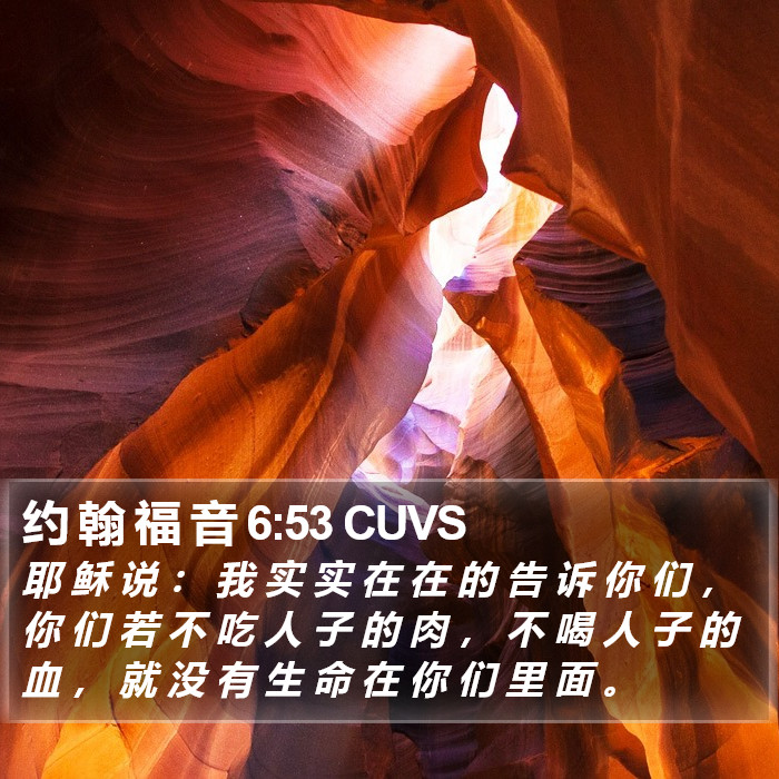 约 翰 福 音 6:53 CUVS Bible Study