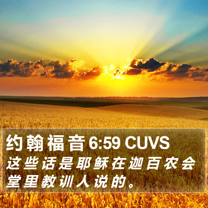 约 翰 福 音 6:59 CUVS Bible Study