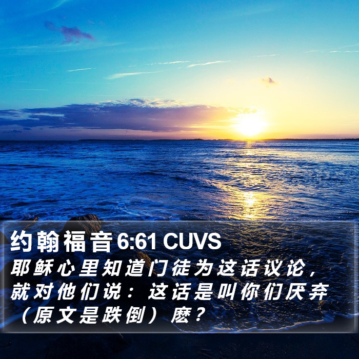 约 翰 福 音 6:61 CUVS Bible Study