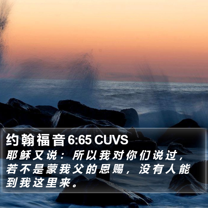 约 翰 福 音 6:65 CUVS Bible Study