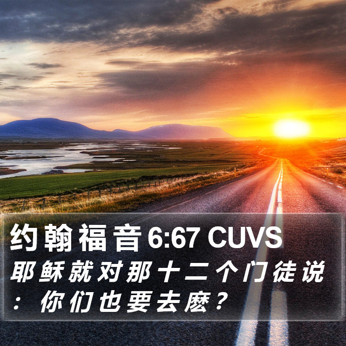 约 翰 福 音 6:67 CUVS Bible Study