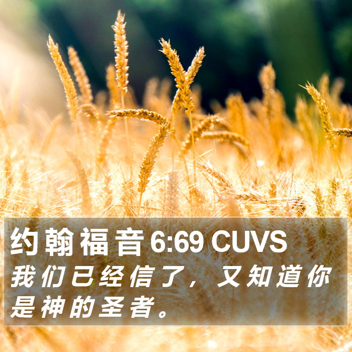 约 翰 福 音 6:69 CUVS Bible Study