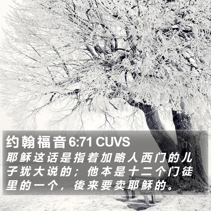 约 翰 福 音 6:71 CUVS Bible Study