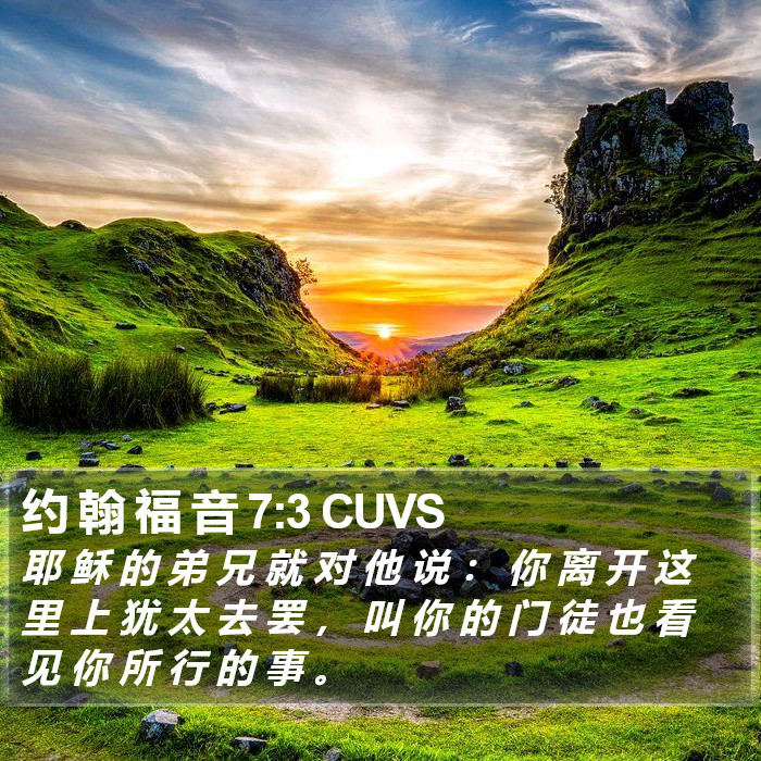 约 翰 福 音 7:3 CUVS Bible Study