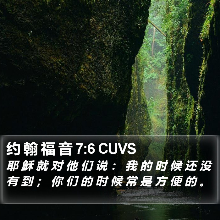 约 翰 福 音 7:6 CUVS Bible Study