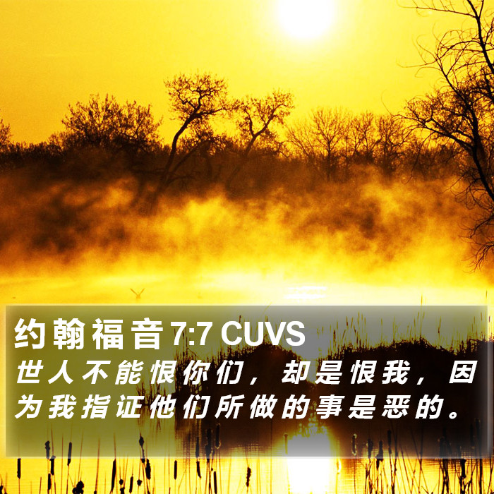 约 翰 福 音 7:7 CUVS Bible Study