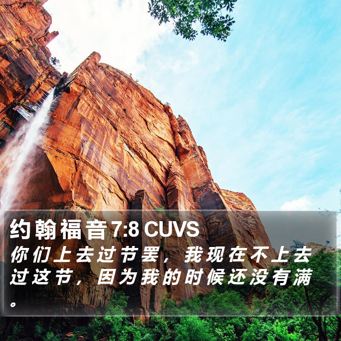 约 翰 福 音 7:8 CUVS Bible Study