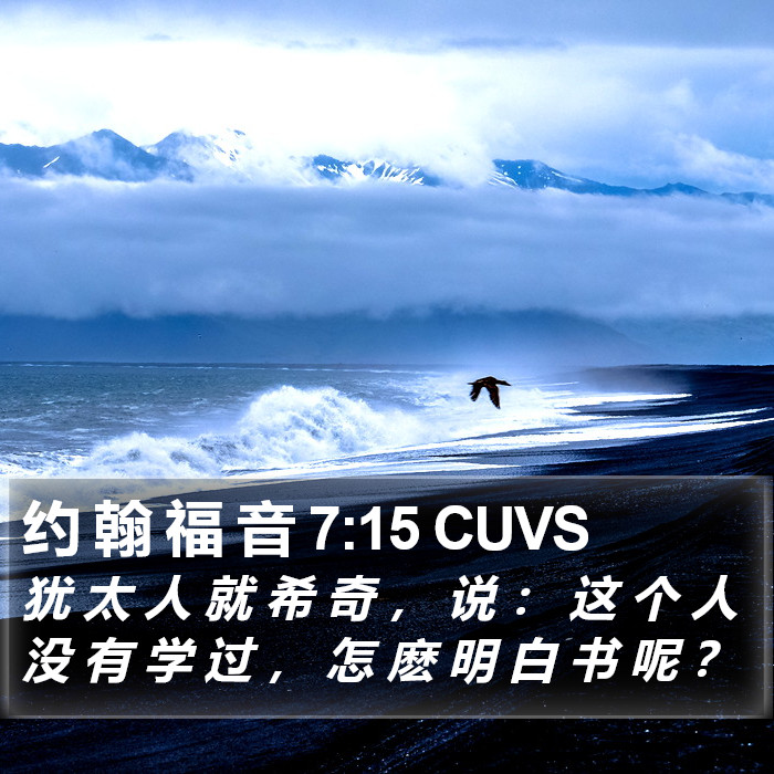 约 翰 福 音 7:15 CUVS Bible Study