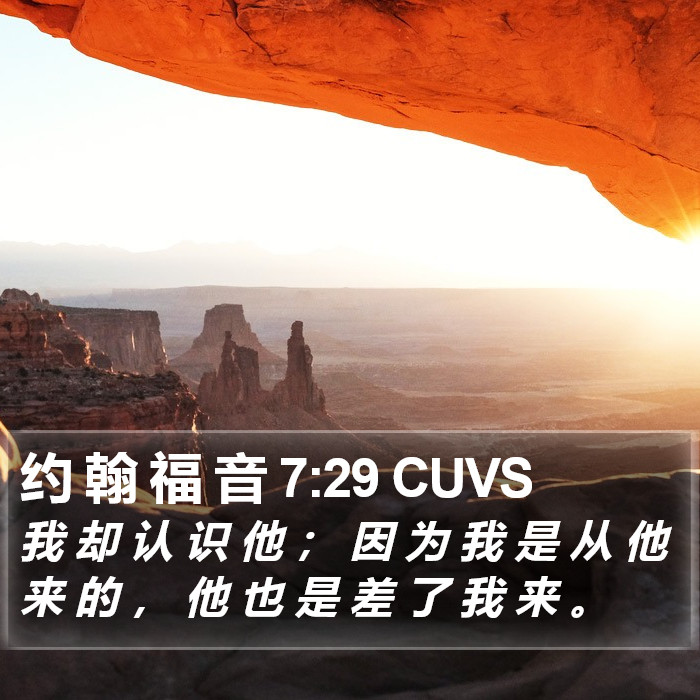 约 翰 福 音 7:29 CUVS Bible Study