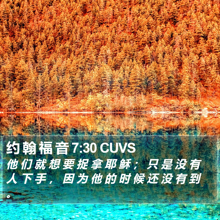 约 翰 福 音 7:30 CUVS Bible Study