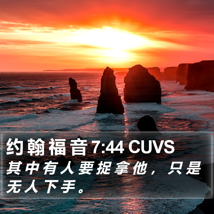 约 翰 福 音 7:44 CUVS Bible Study