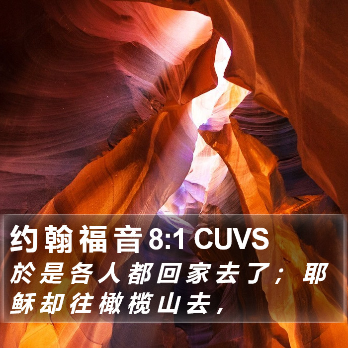 约 翰 福 音 8:1 CUVS Bible Study