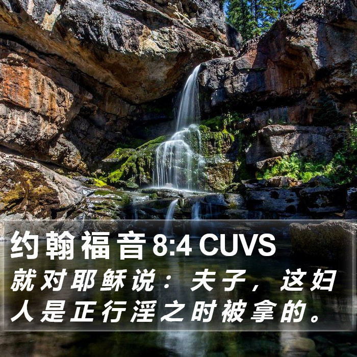 约 翰 福 音 8:4 CUVS Bible Study