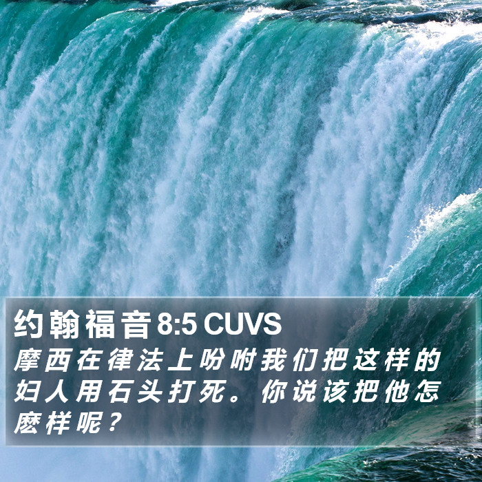 约 翰 福 音 8:5 CUVS Bible Study