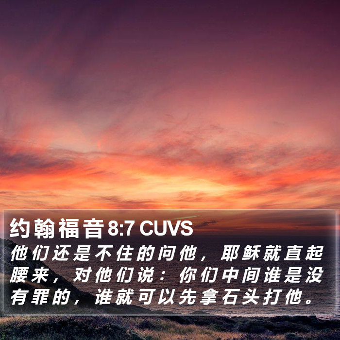 约 翰 福 音 8:7 CUVS Bible Study