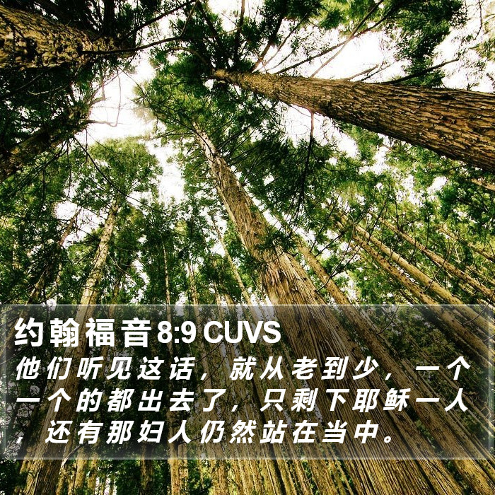 约 翰 福 音 8:9 CUVS Bible Study