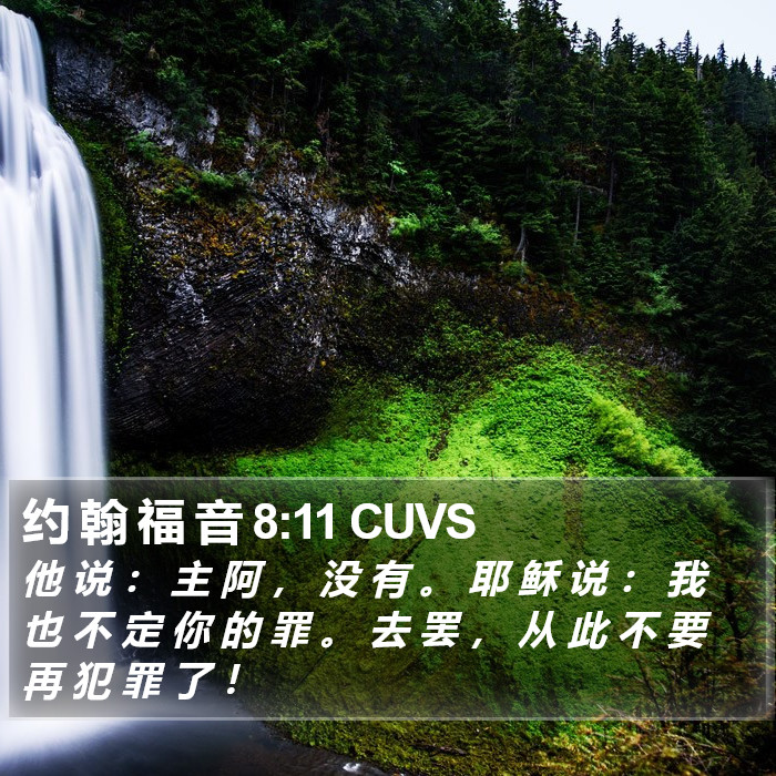 约 翰 福 音 8:11 CUVS Bible Study