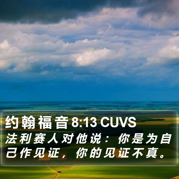 约 翰 福 音 8:13 CUVS Bible Study