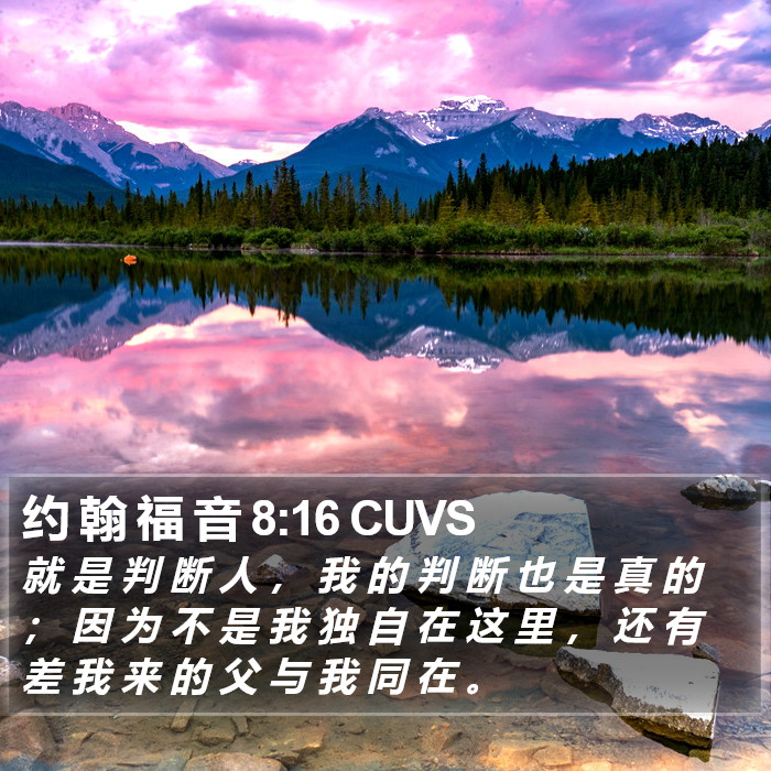 约 翰 福 音 8:16 CUVS Bible Study