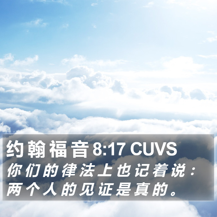 约 翰 福 音 8:17 CUVS Bible Study