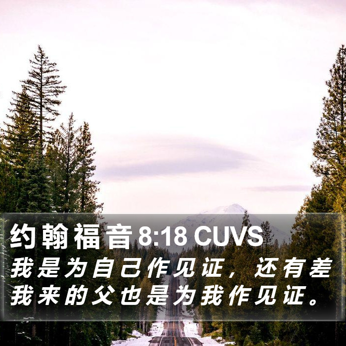 约 翰 福 音 8:18 CUVS Bible Study