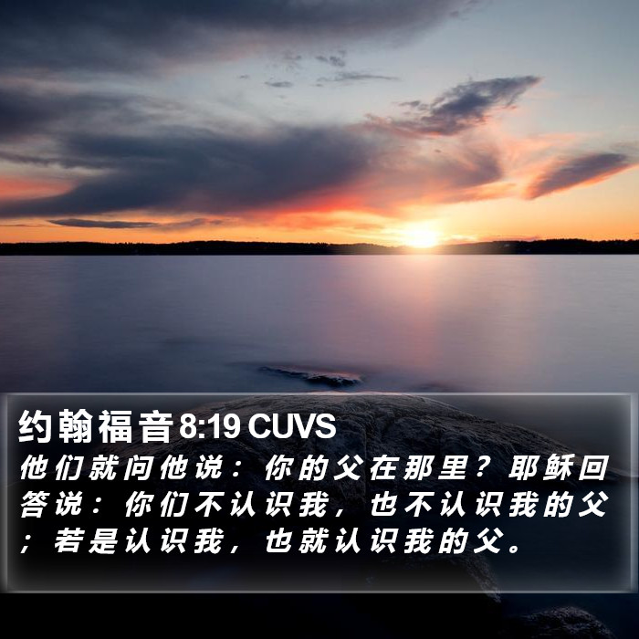 约 翰 福 音 8:19 CUVS Bible Study