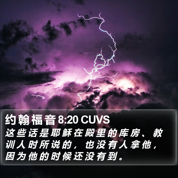 约 翰 福 音 8:20 CUVS Bible Study