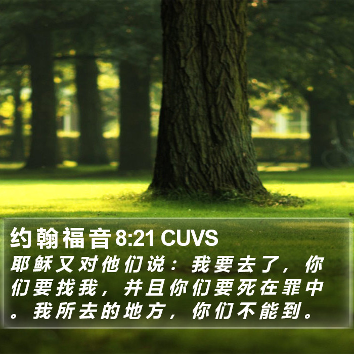 约 翰 福 音 8:21 CUVS Bible Study