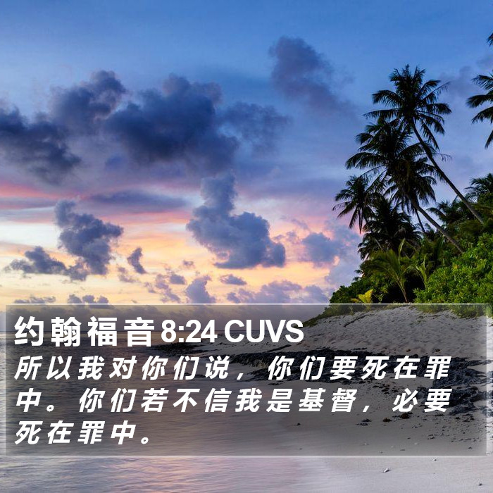 约 翰 福 音 8:24 CUVS Bible Study