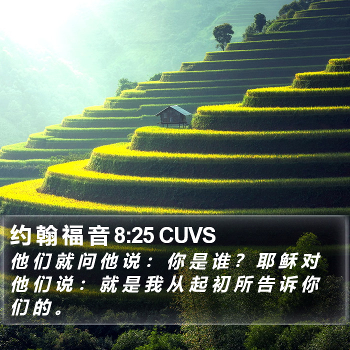 约 翰 福 音 8:25 CUVS Bible Study