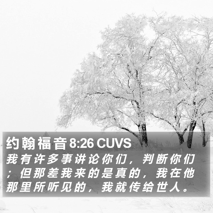 约 翰 福 音 8:26 CUVS Bible Study