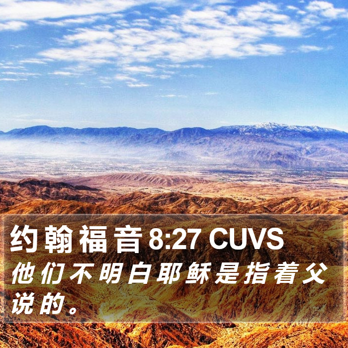 约 翰 福 音 8:27 CUVS Bible Study