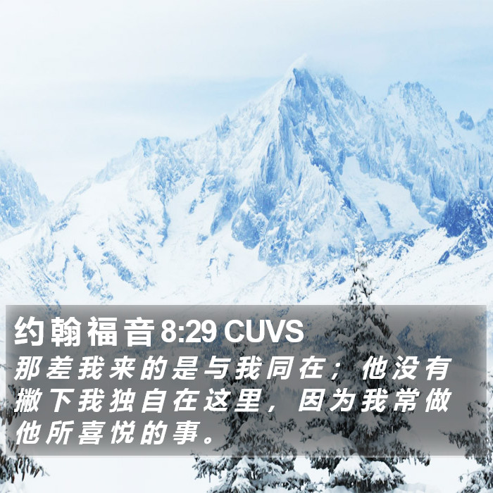 约 翰 福 音 8:29 CUVS Bible Study