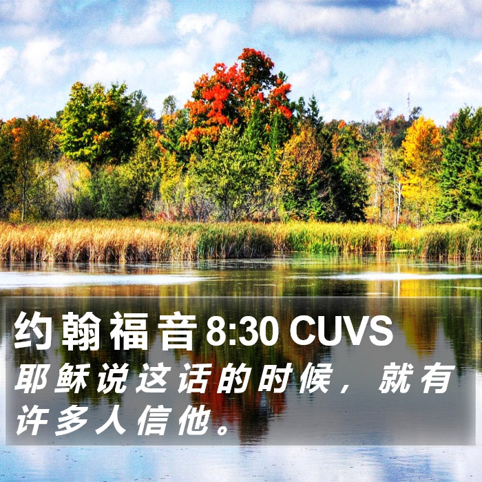 约 翰 福 音 8:30 CUVS Bible Study