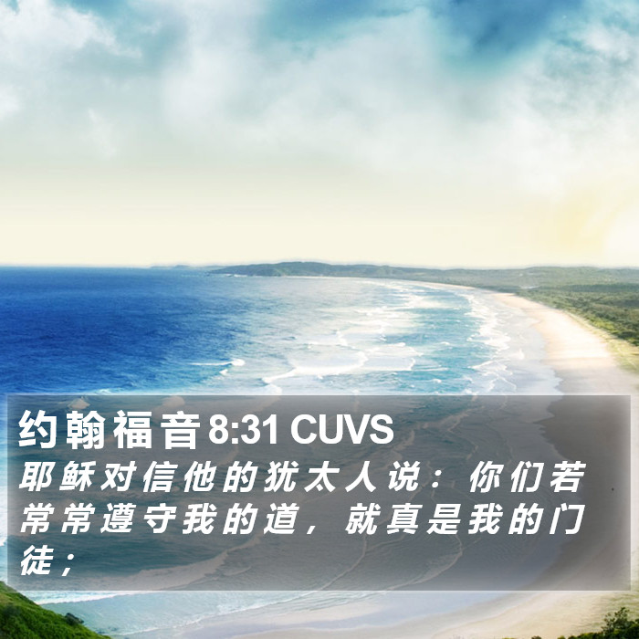 约 翰 福 音 8:31 CUVS Bible Study