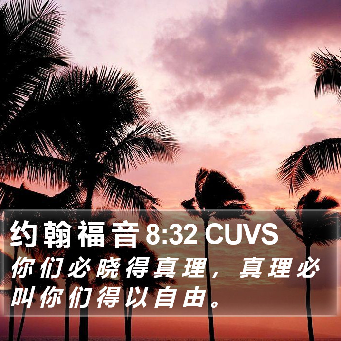 约 翰 福 音 8:32 CUVS Bible Study