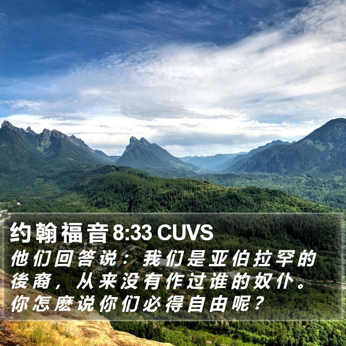 约 翰 福 音 8:33 CUVS Bible Study