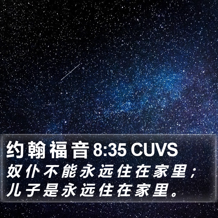 约 翰 福 音 8:35 CUVS Bible Study