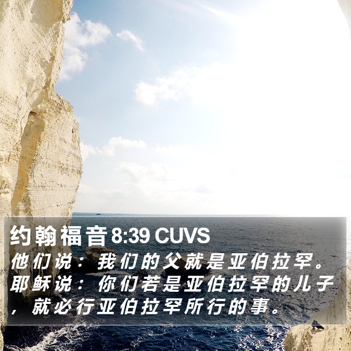 约 翰 福 音 8:39 CUVS Bible Study