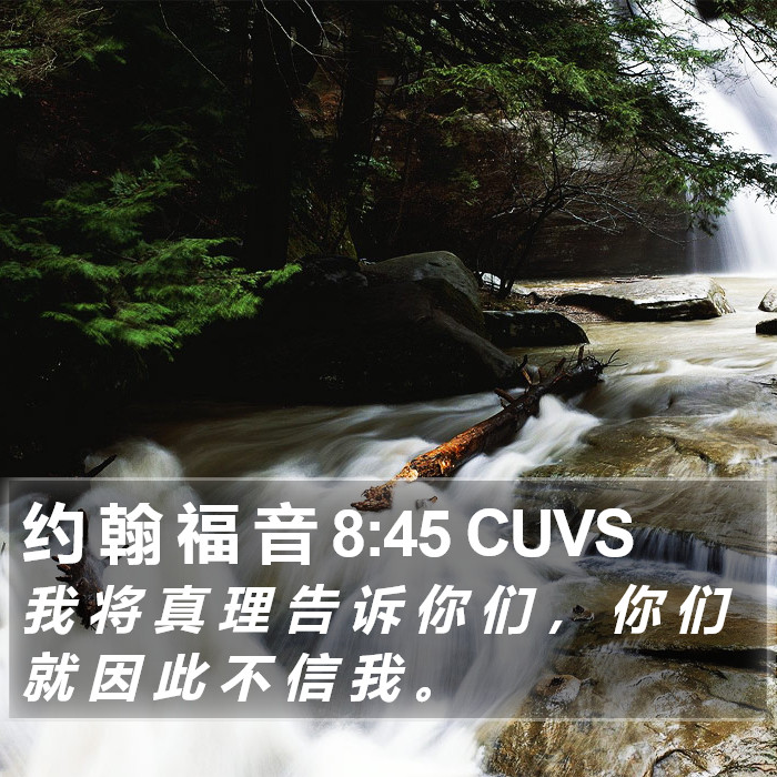 约 翰 福 音 8:45 CUVS Bible Study