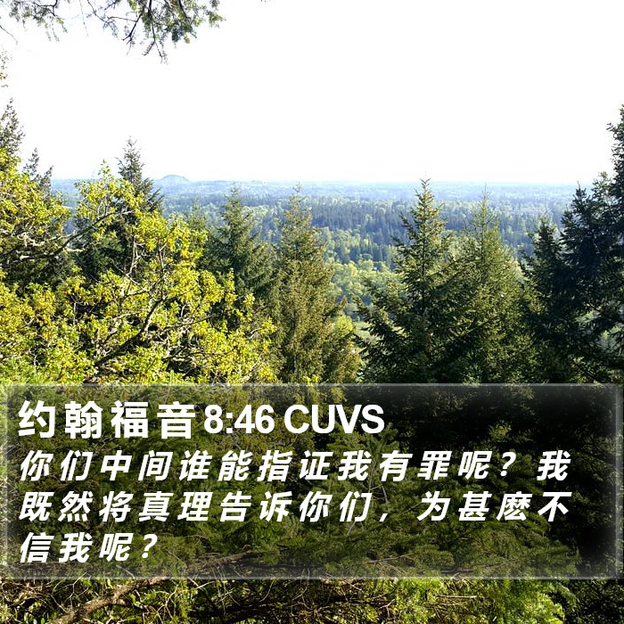 约 翰 福 音 8:46 CUVS Bible Study