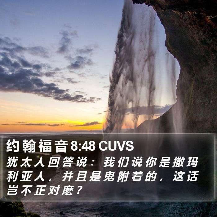 约 翰 福 音 8:48 CUVS Bible Study