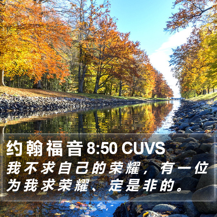 约 翰 福 音 8:50 CUVS Bible Study