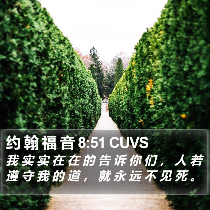 约 翰 福 音 8:51 CUVS Bible Study