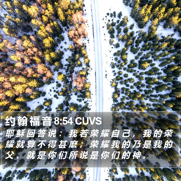 约 翰 福 音 8:54 CUVS Bible Study