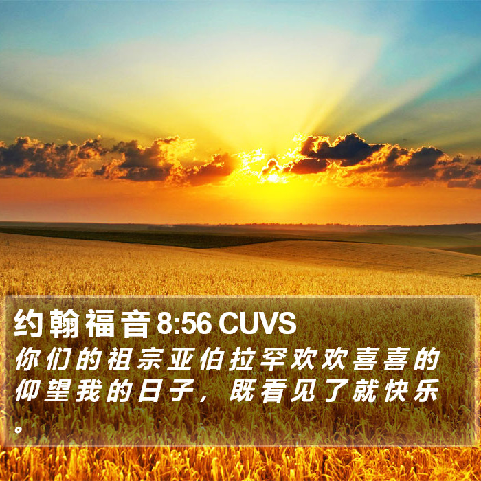 约 翰 福 音 8:56 CUVS Bible Study