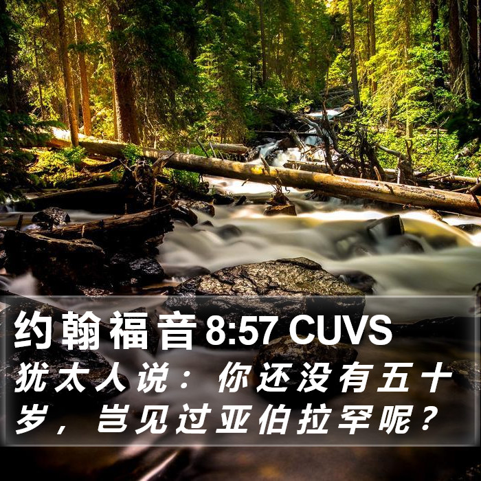 约 翰 福 音 8:57 CUVS Bible Study