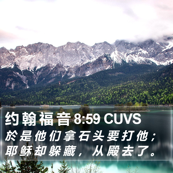 约 翰 福 音 8:59 CUVS Bible Study