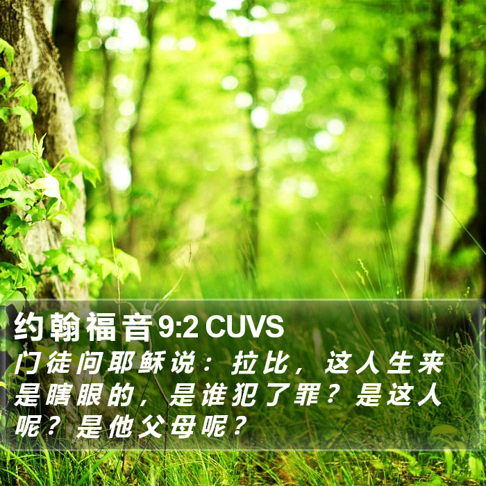 约 翰 福 音 9:2 CUVS Bible Study