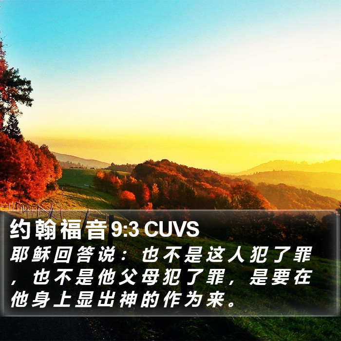 约 翰 福 音 9:3 CUVS Bible Study